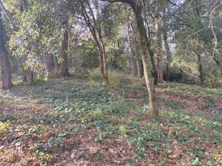 Terreno en alquiler en Sant Pere de Vilamajor