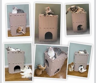 Cama para gatos de 3 alturas