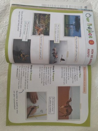 Cambridge Natural Science Level 2 Pupil's Book ...