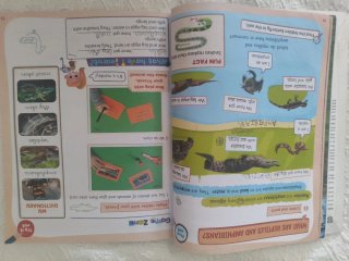 Cambridge Natural Science Level 2 Pupil's Book ...