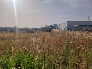 Terreno en venta en Olías del Rey