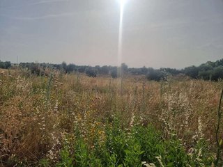 Terreno en venta en Olías del Rey