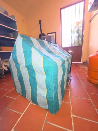 Caseta romería perro pequeño