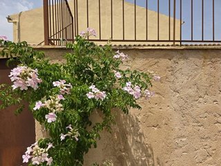 Casa rural en alquiler en Sant Llorenç des Cardassar
