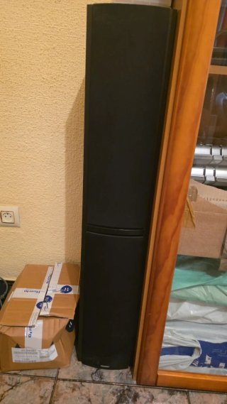 Altavoces Pioneer Torres Negro/Marrón
