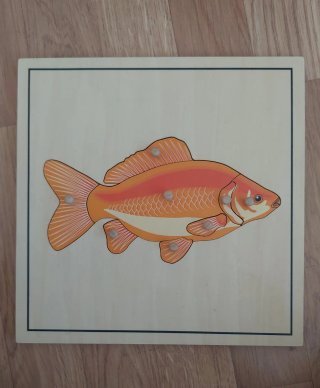 5 Puzzles Montessori con Estante organizador
