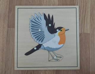 5 Puzzles Montessori con Estante organizador