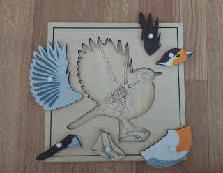 5 Puzzles Montessori con Estante organizador