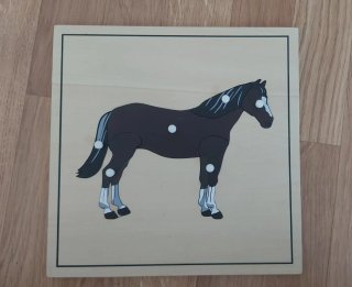 5 Puzzles Montessori con Estante organizador