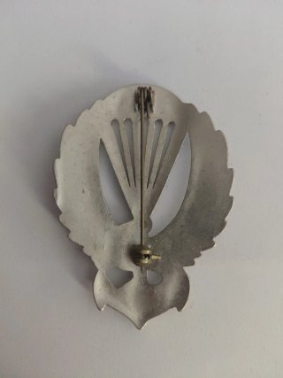 Insignia militar italiana WWII paracaidista nadado