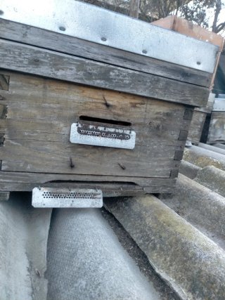 Colmenas de madera