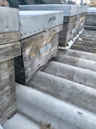Colmenas de madera