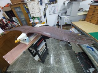 Rc Águila 3D Planet Print