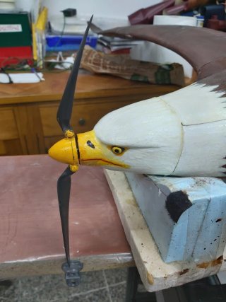 Rc Águila 3D Planet Print