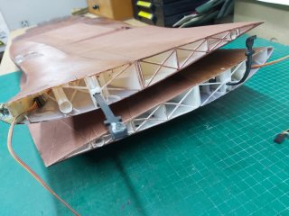 Rc Águila 3D Planet Print