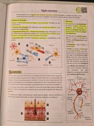 Biología y Geología 3 ESO Bruño