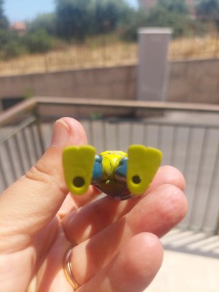 Tartaruga Ninja Donatello Statuetta