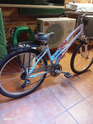 Bicicleta de paseo