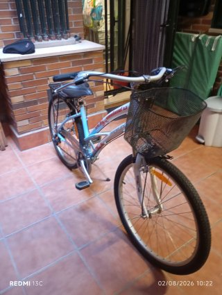 Bicicleta de paseo