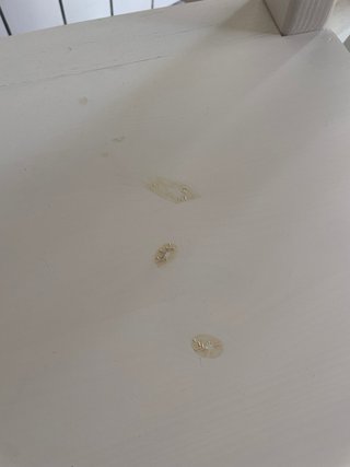 2 Sillas Madera Blanca IKEA