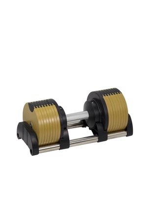 Set 2 Mancuernas Ajustables +1 26kg Galvan Edition