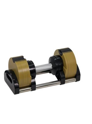 Set 2 Mancuernas Ajustables +1 26kg Galvan Edition