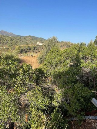 Terreno en venta en Coín