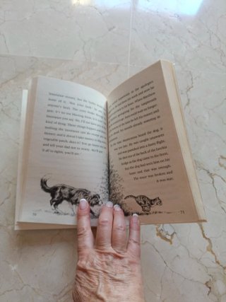 Libro en ingles