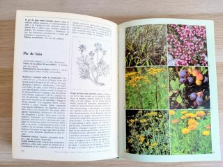 El gran libro de las plantas medicinales
