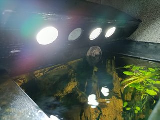 Acuario 120x60x40cm de capacidad 300l~