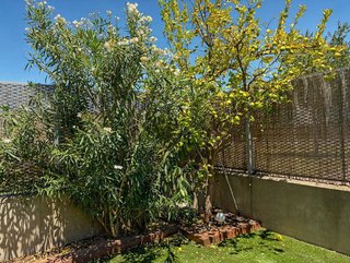 Casa pareada en alquiler en Miralbueno en Zaragoza