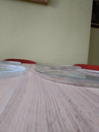6 Bajoplatos de Cristal