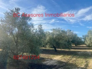 Terreno en venta en Rociana del Condado