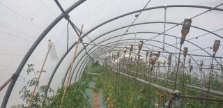 Estructura de invernadero