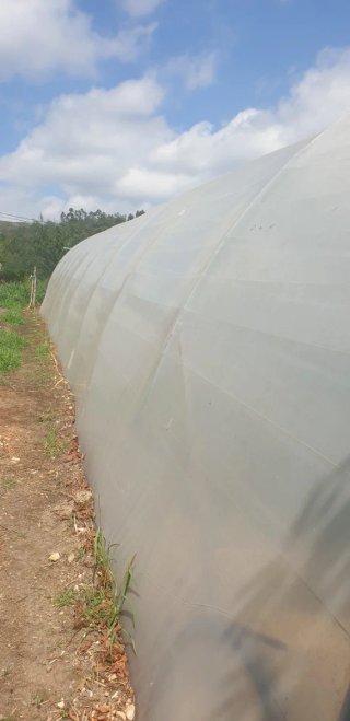 Estructura de invernadero