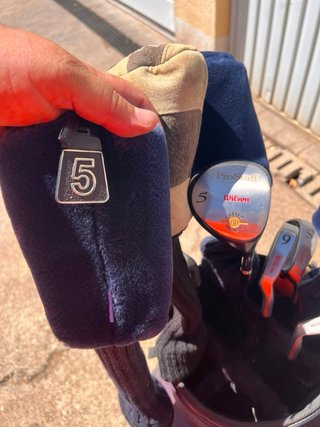 Bolsa de Golf y varios palos