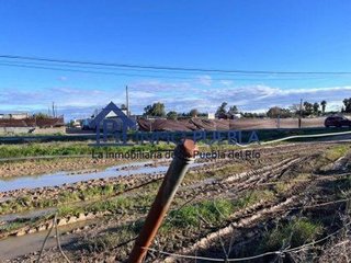 Terreno en venta en Puebla del Río (La)