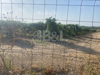 Solar en venta en Rociana del Condado