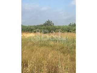 Solar en venta en Rociana del Condado