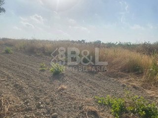 Solar en venta en Rociana del Condado