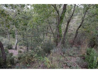Terreno en venta en Caldes de Malavella