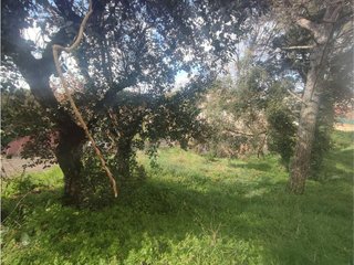 Terreno en venta en Caldes de Malavella