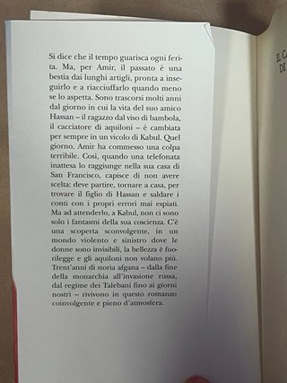 Il cacciatore di aquiloni