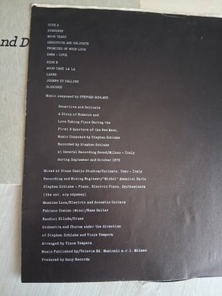 Disco Vinile 33 Giri Steven Schlaks