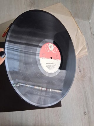 Disco Vinile 33 Giri Steven Schlaks