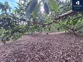 Terreno en venta en Centro en Nerja