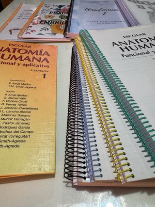 Escolar Anatomia Humana 1 y 2 + Apuntes + Imágenes
