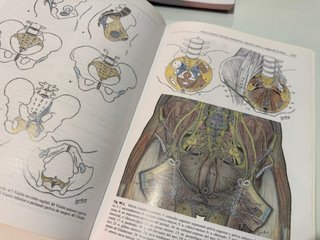 Escolar Anatomia Humana 1 y 2 + Apuntes + Imágenes