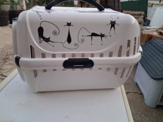 Transportín para gato