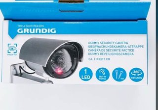 Telecamera finta Grundig